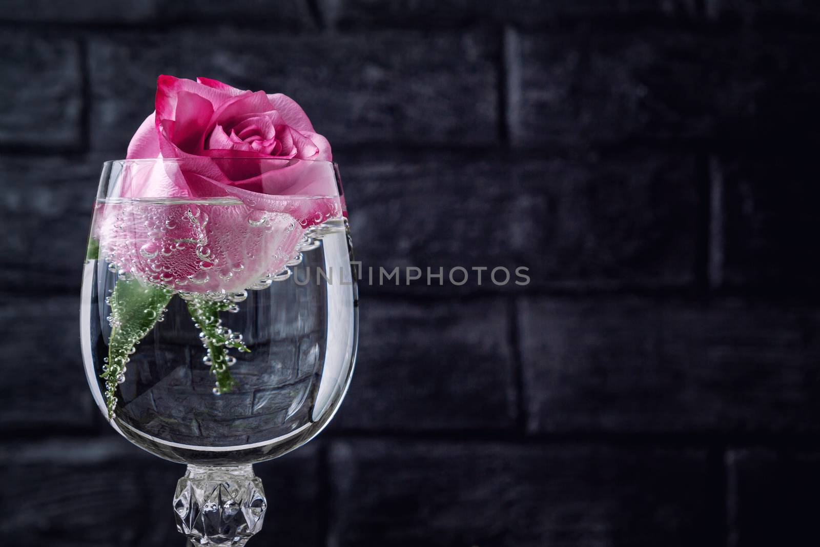 Rose in a glass of sparkling water with bubbles - a template for a greeting card by galsand