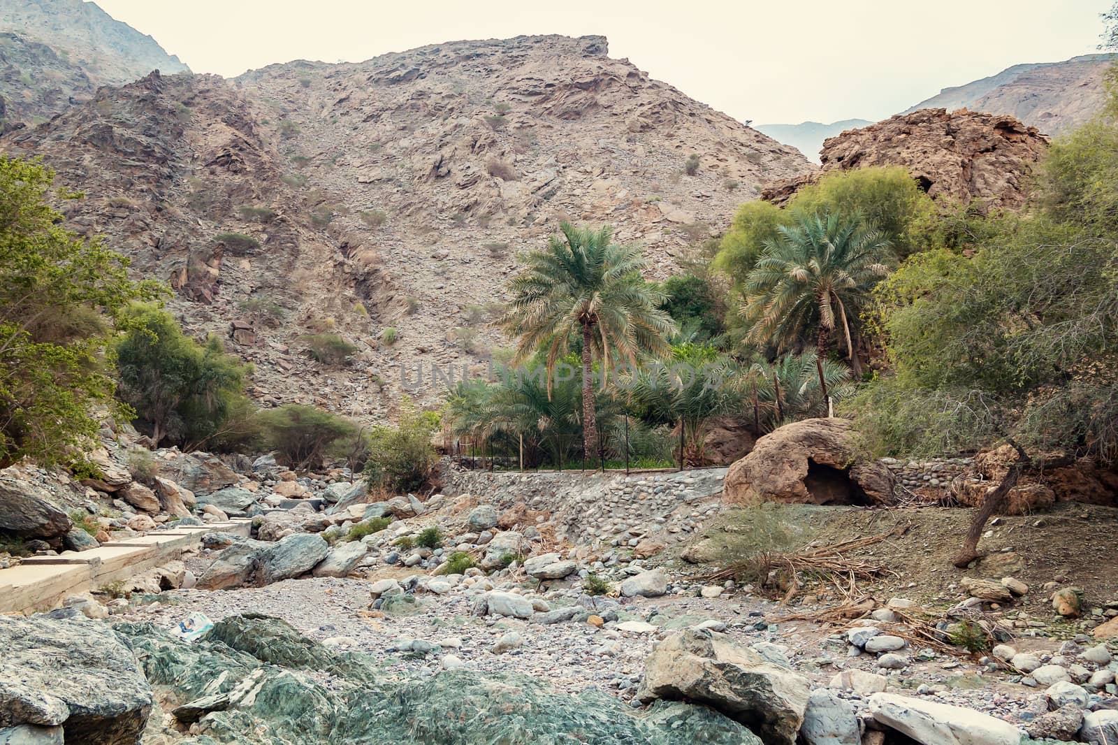 Parched riverbed called wadi in Asia, in the outskirts of Muscat, Oman by galsand