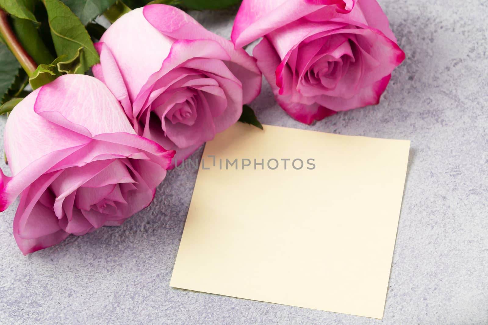 bouquet of pink roses and a blank note on the table.