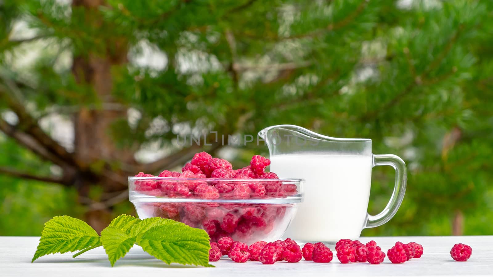 Fresh raspberries in a glass bowl and natural iogurt on a white wooden table against a green background. Concept of healthy organic nutrition by galsand