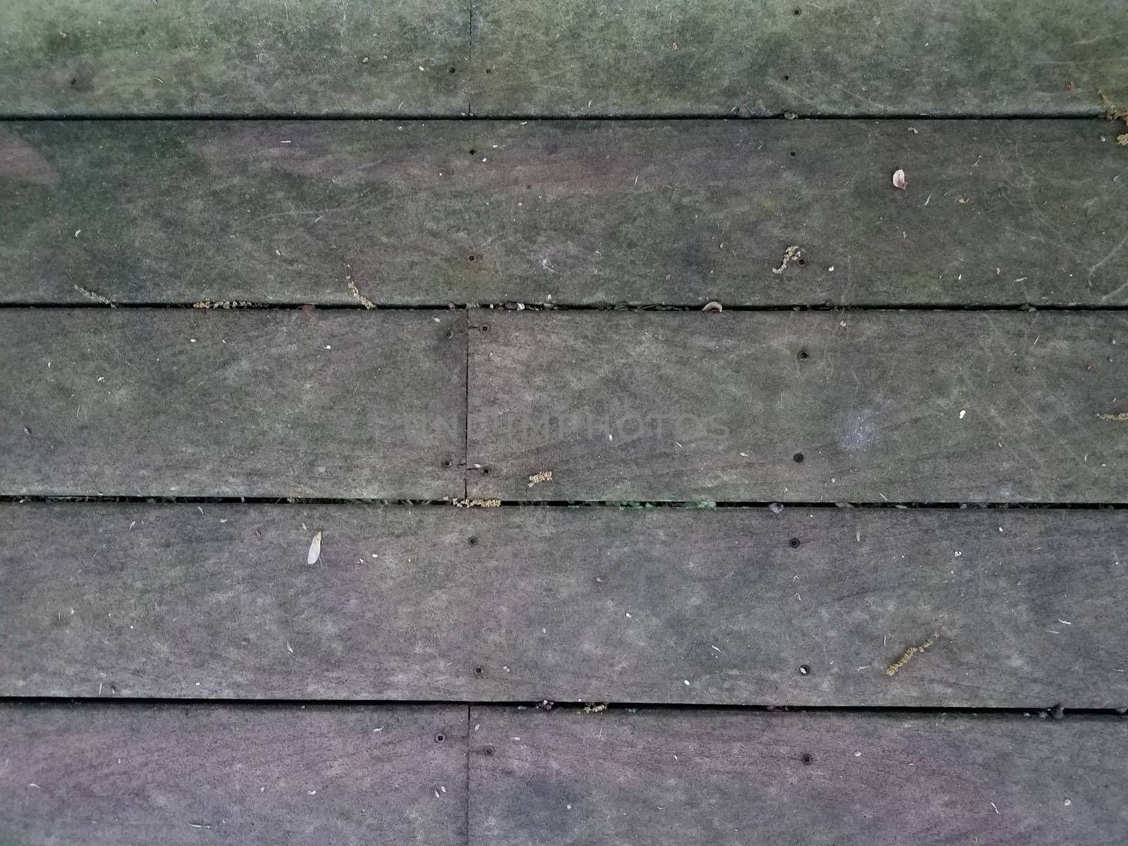 dirty brown wood deck or ground with algae by stockphotofan1