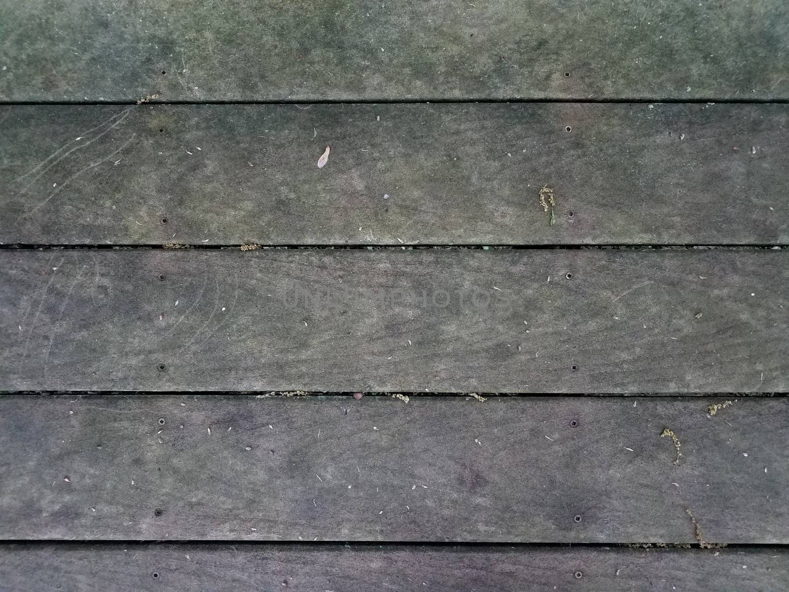 dirty brown wood deck or ground with algae by stockphotofan1