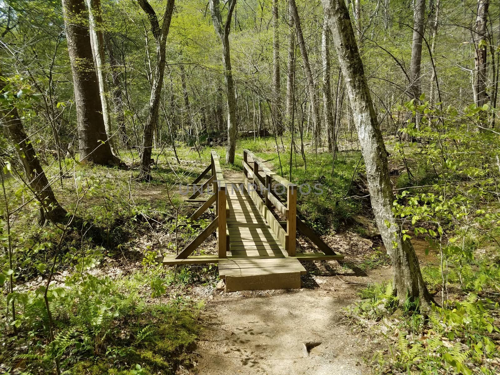 wood bridge over creek on trail in forest with trees by stockphotofan1