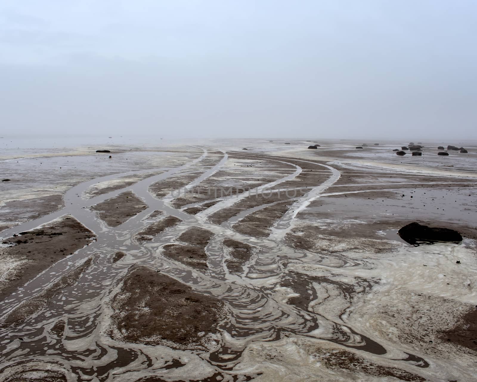 sandy shore of Lake Ilmen, Russia Novgorod region