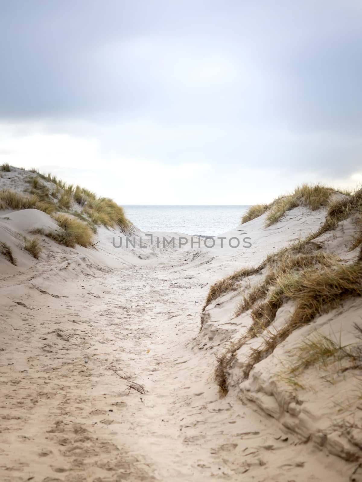 Dune landscape on the island Helgoland