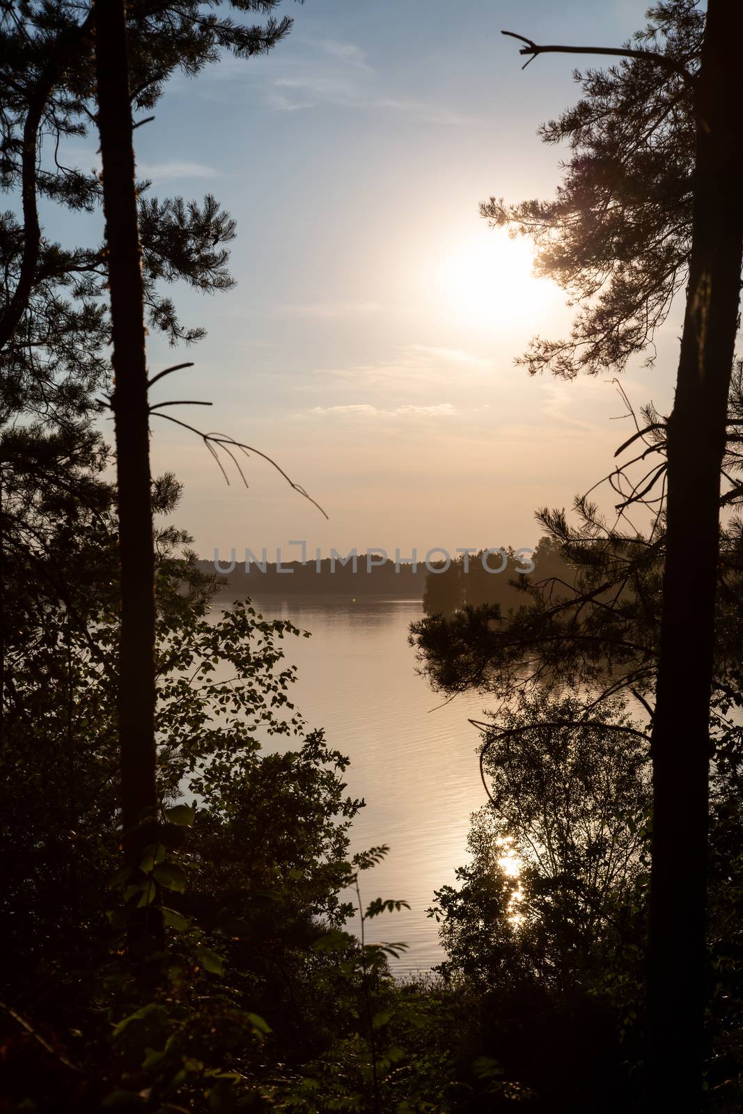 Landschaft am Murner See, Wackersdorf, Bayern