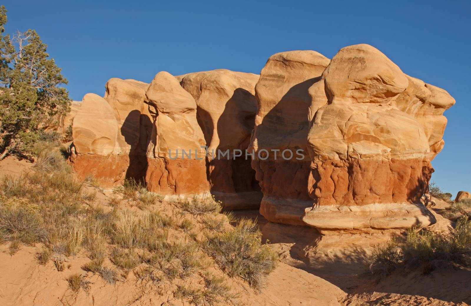 Strange Rock Formations in The Devil's Garden near the town of Escalante in the Staircase Escalante National Monument in Utah. USA