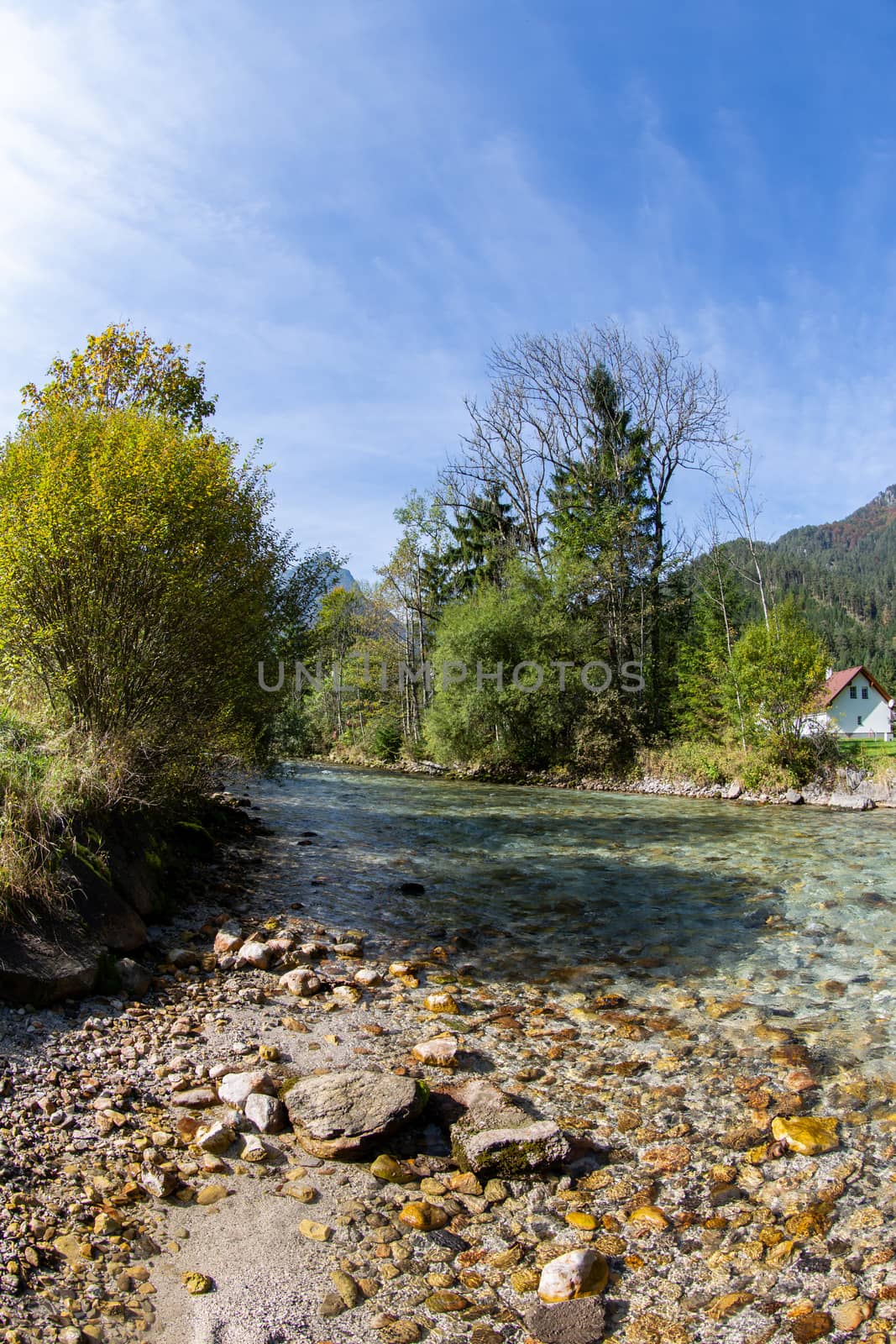 A beautiful clear river in Austria by sandra_fotodesign