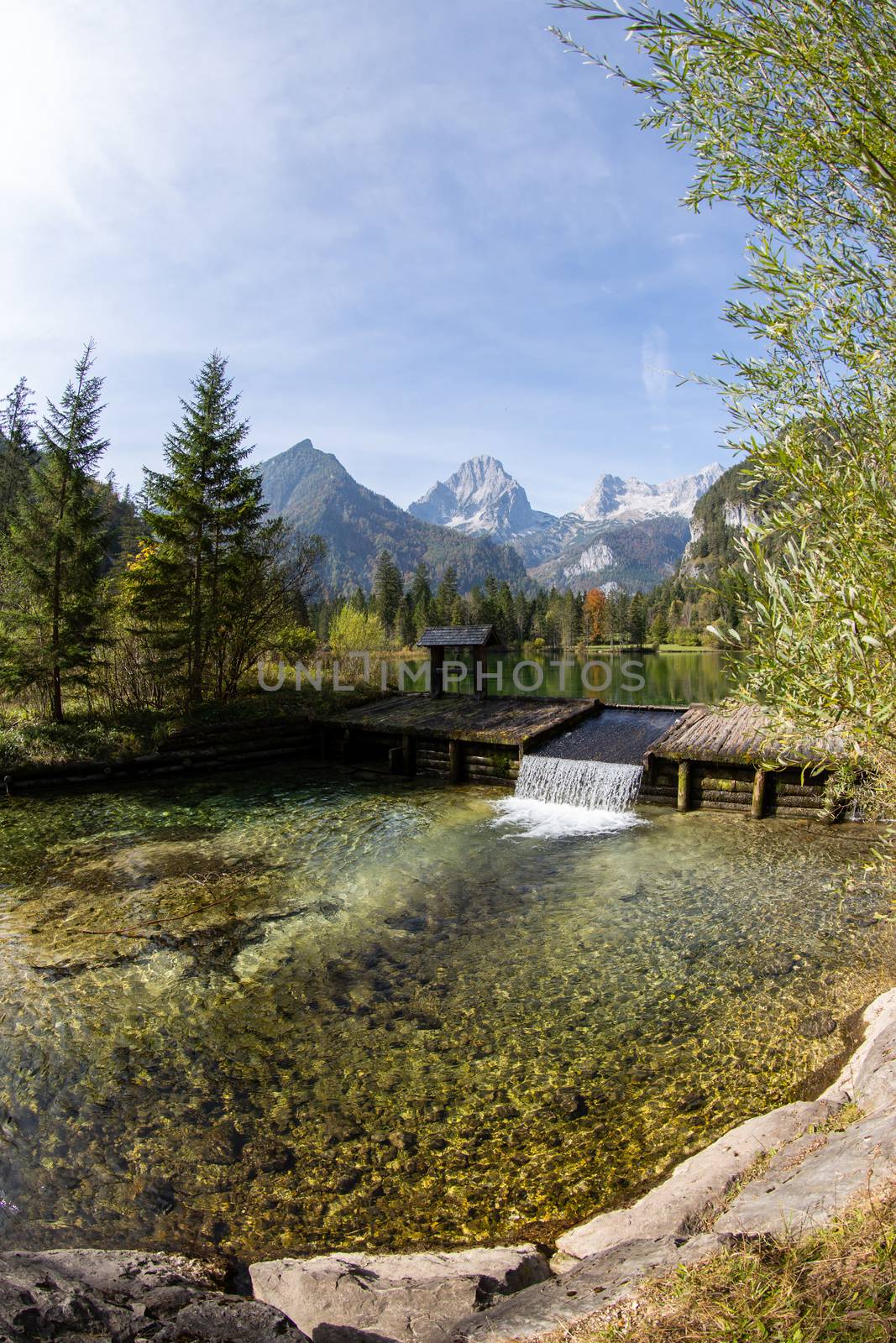 Sommer landscape at the Schiederweiher in austria