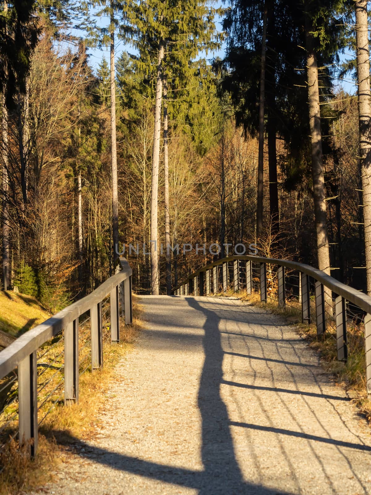Landscape picture from the national park in Bavaria by sandra_fotodesign