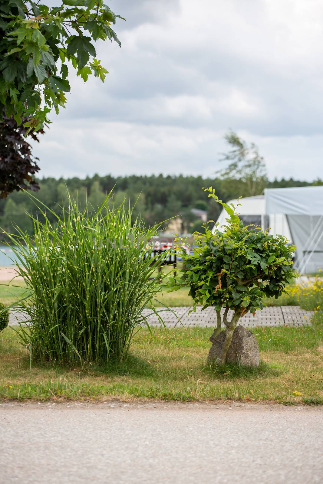 Impressions on a campsite on a sunny day by sandra_fotodesign