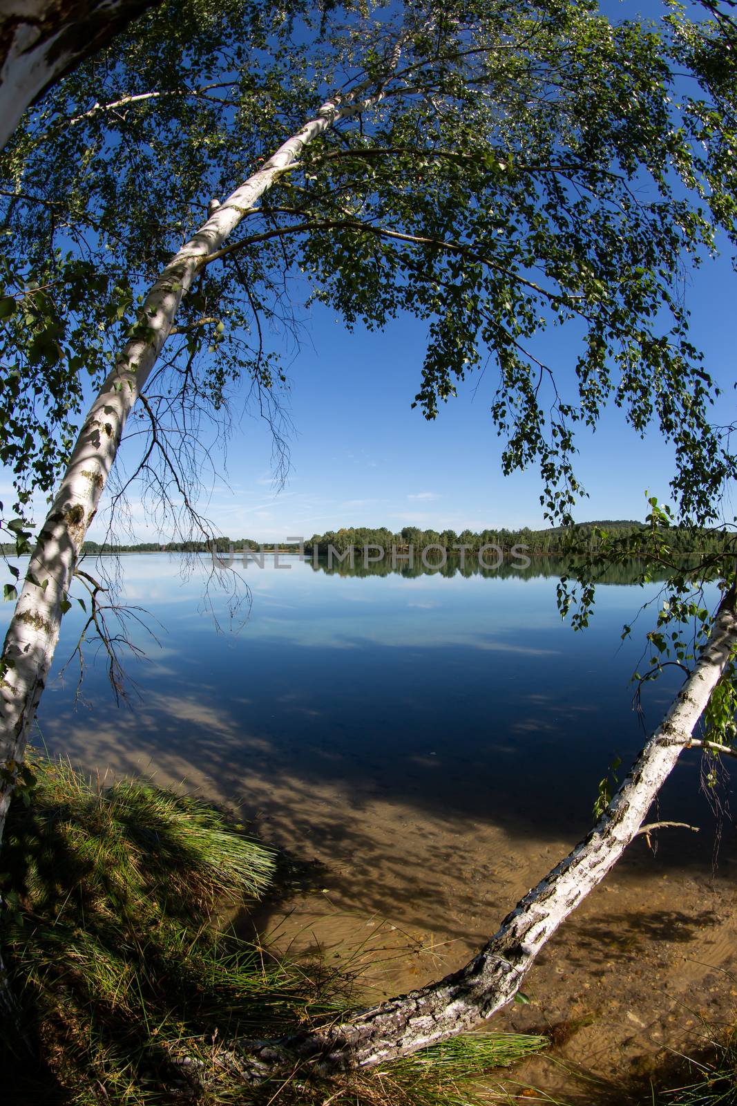 Environment around Lake Murner, Wackersdorf Bavaria