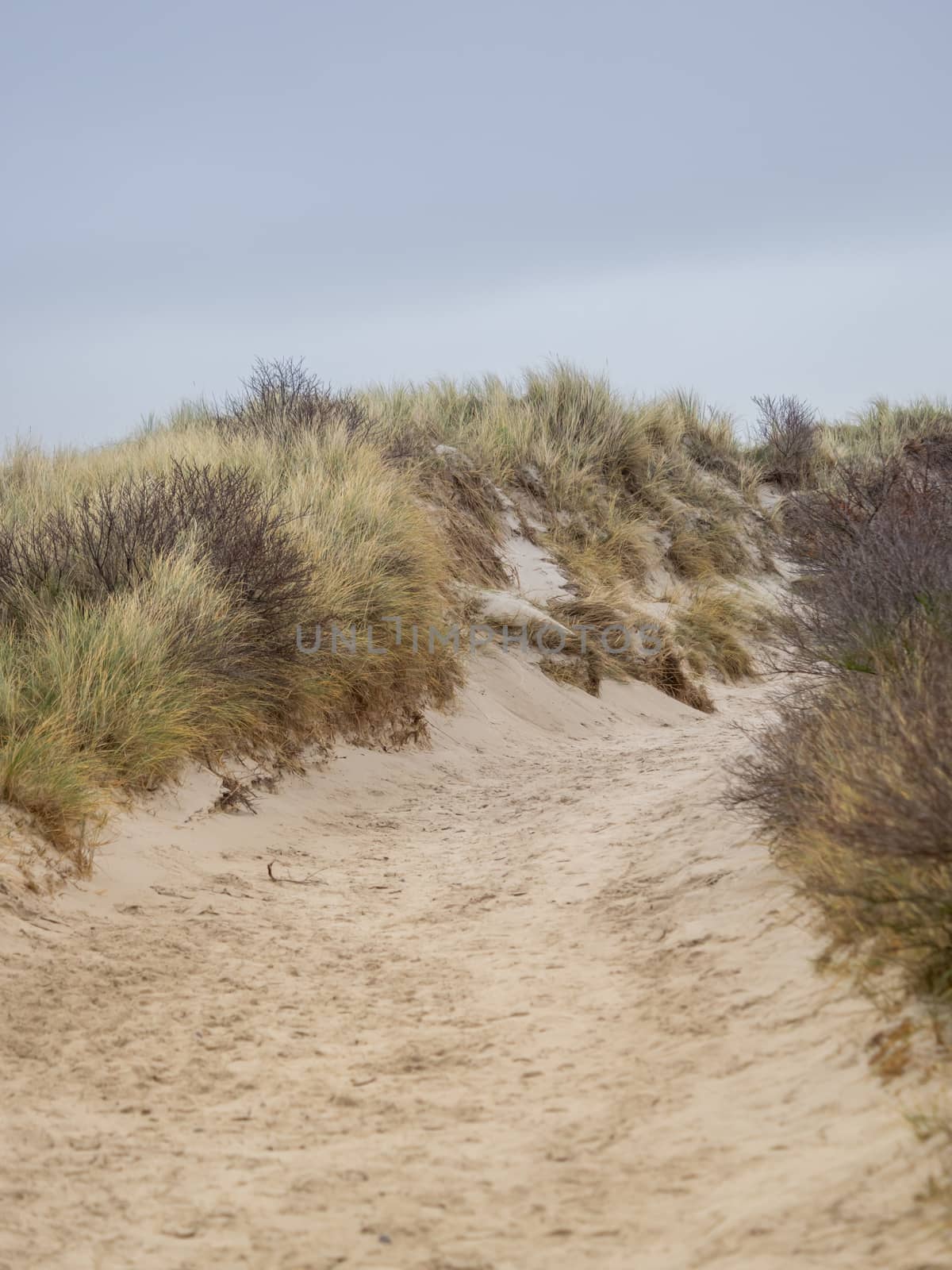 Dune landscape on the island Helgoland by sandra_fotodesign