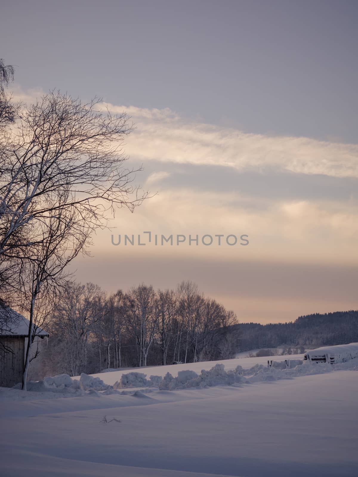A wonderful winter landscape in beautiful Bavaria by sandra_fotodesign