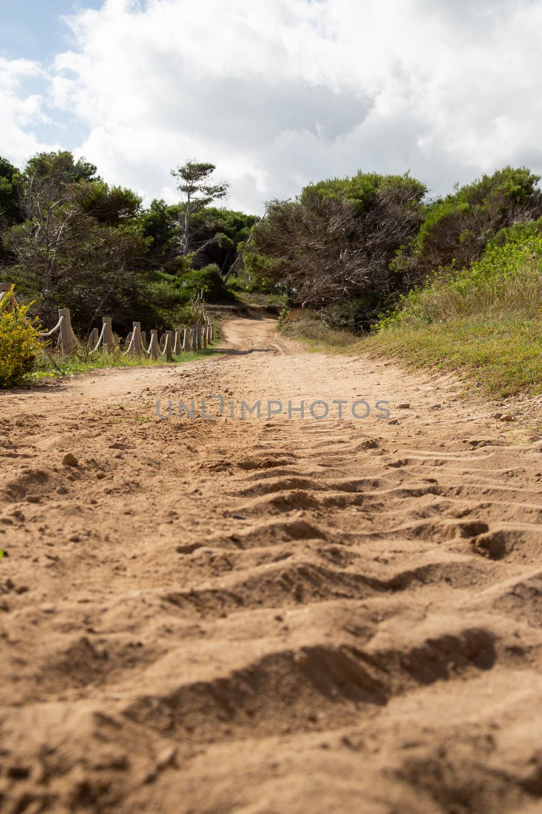 Wonderful dune landscape Cala Mesquida Mallorca Spain by sandra_fotodesign