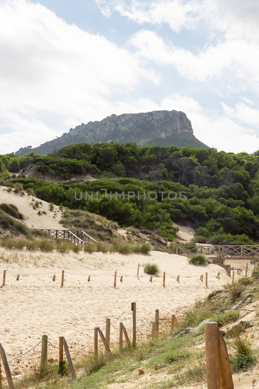 Wonderful dune landscape Cala Mesquida Mallorca Spain by sandra_fotodesign