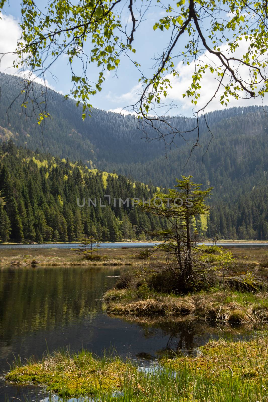Landscape at the small Arbersee in Bavaria by sandra_fotodesign