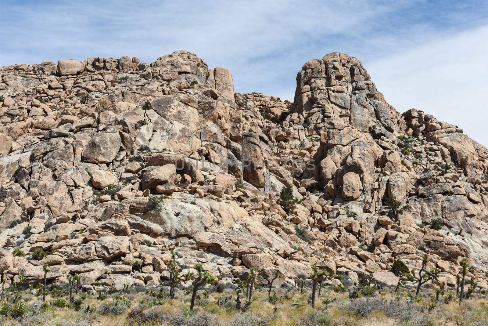 Large granite boulders along Boy Scout Trail in Joshua Tree Nati by Njean