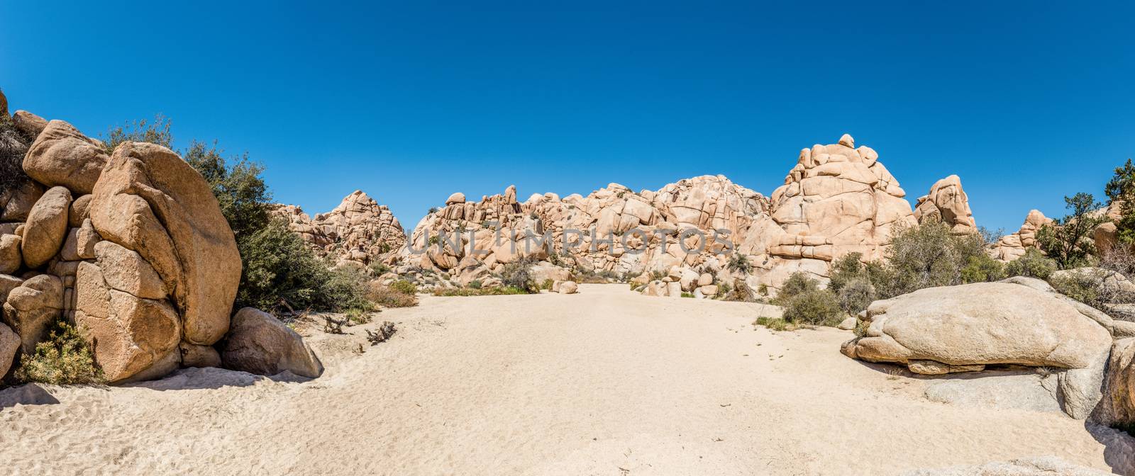 Panorama of granite boulders in the Wonderland of Rocks area along Willow Hole Trail in Joshua Tree National Park, California