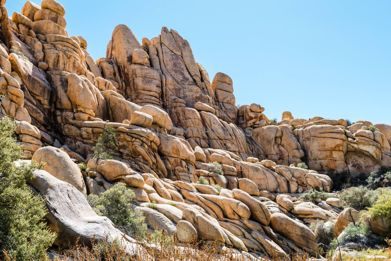 Granite boulders in the Wonderland of Rocks area along Willow Hole Trail in Joshua Tree National Park, California