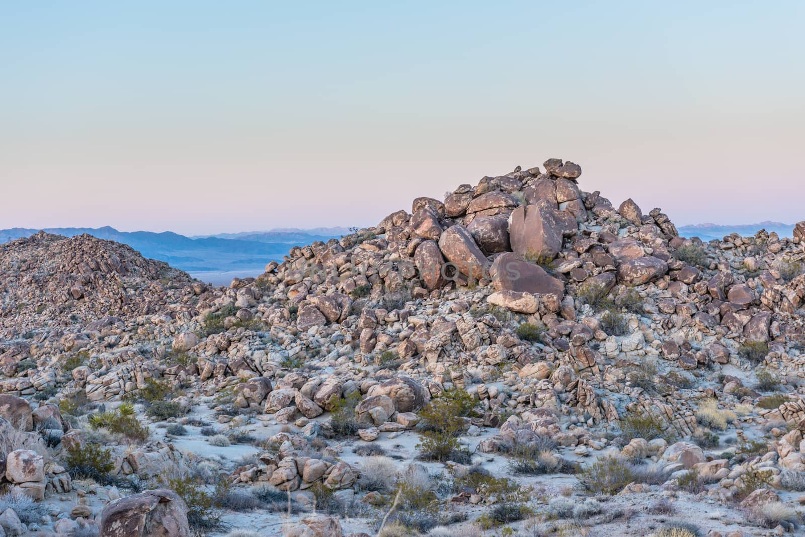 Dusk in the Porcupine Wash wilderness area in Joshua Tree National Park, California