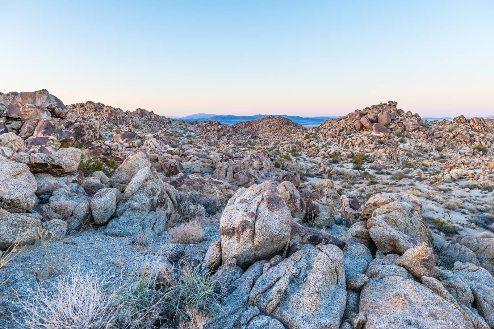 Dusk in the Porcupine Wash wilderness area in Joshua Tree Nation by Njean