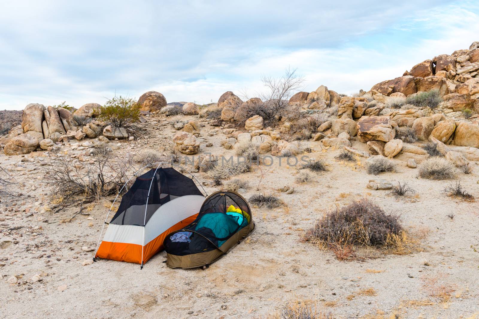 Backpacking tents in the Porcupine Wash wilderness area in Joshua Tree National Park, California