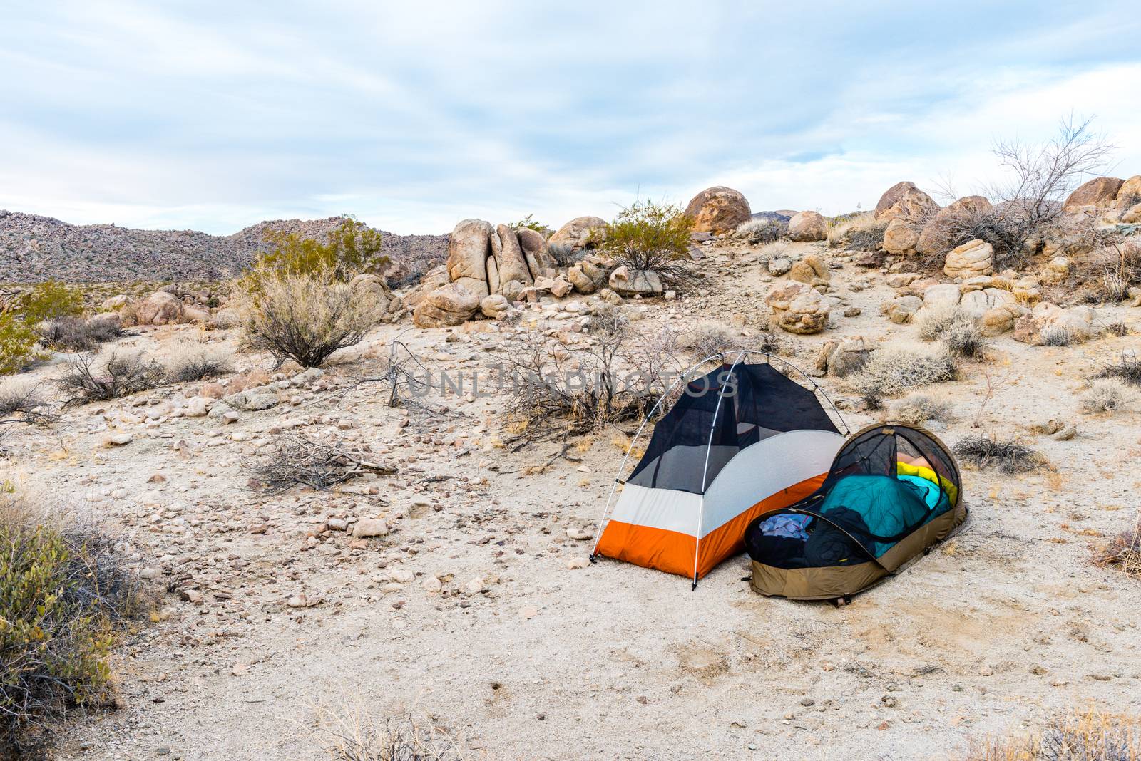 Backpacking tents in the Porcupine Wash wilderness area in Joshua Tree National Park, California