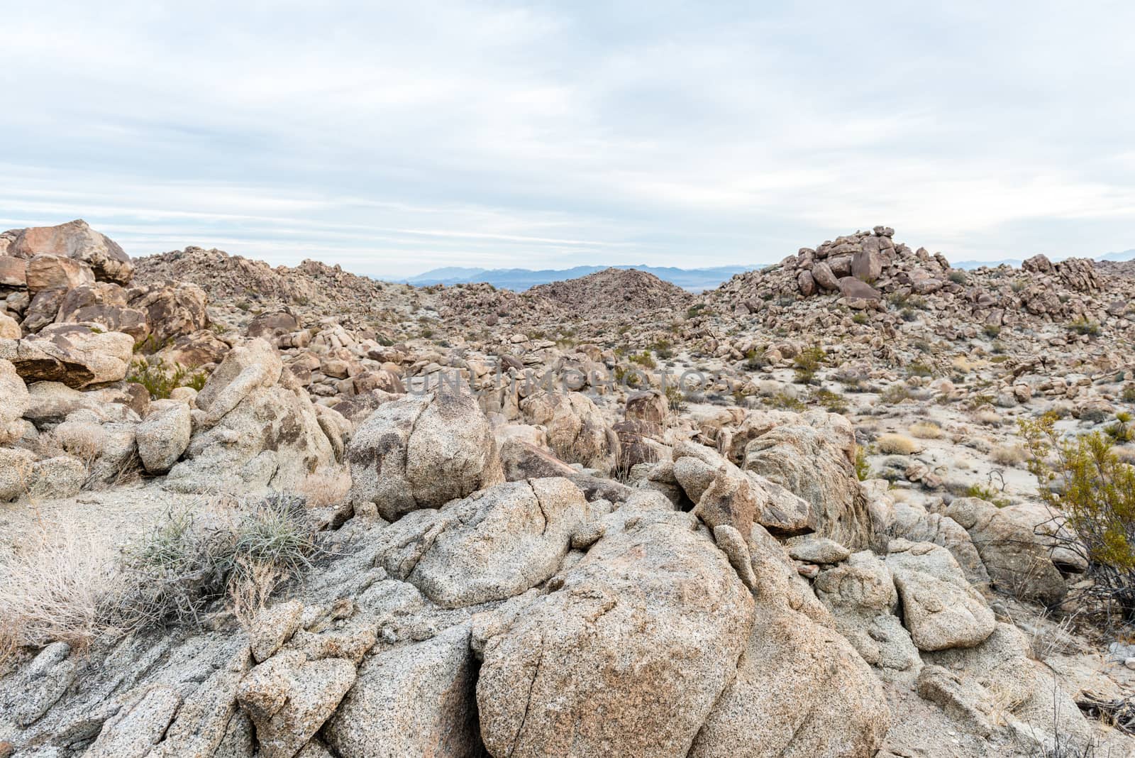 Dawn in the Porcupine Wash wilderness area in Joshua Tree Nation by Njean