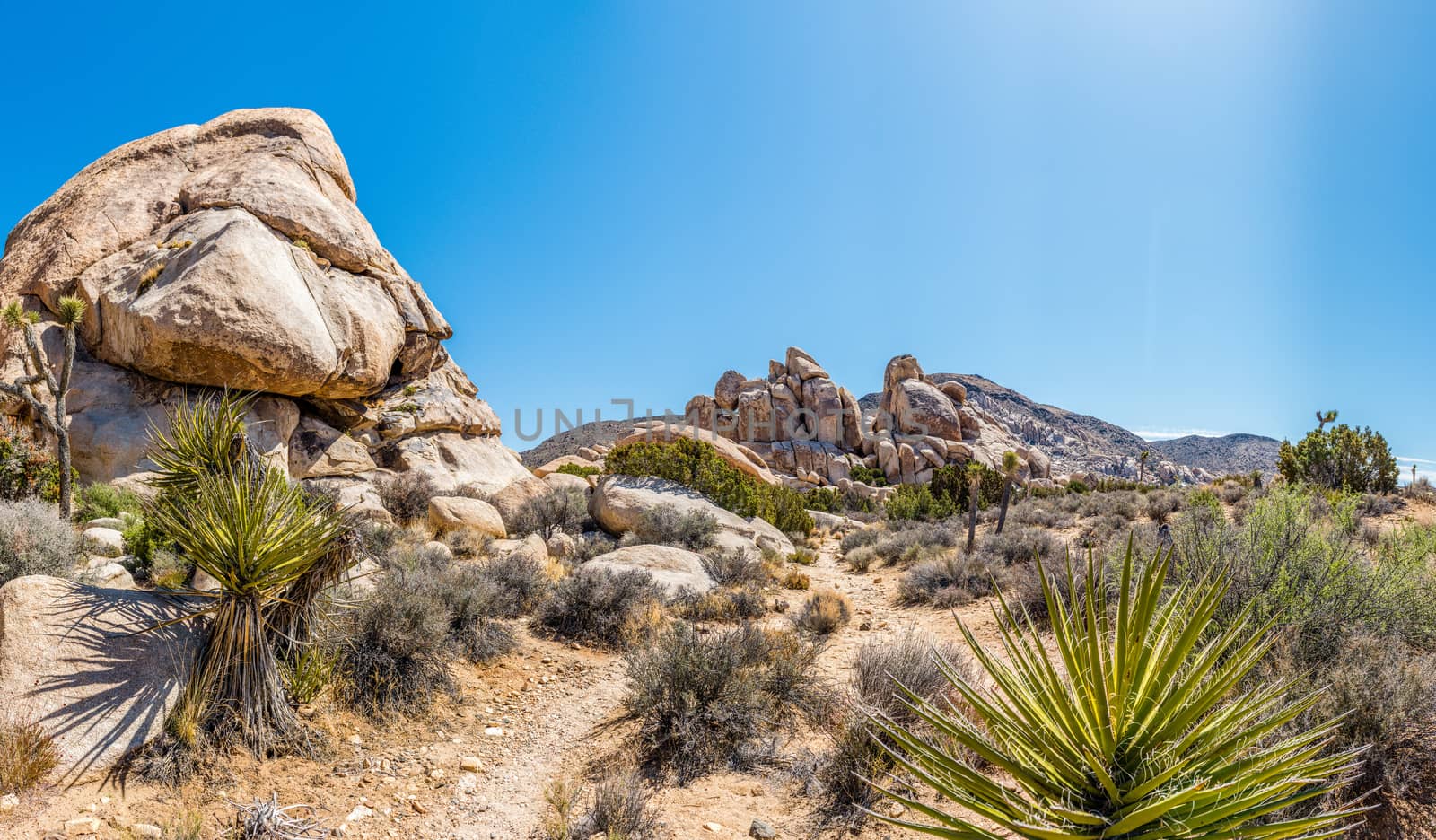 Panorama of Hall of Horrors area in Joshua Tree National Park, California