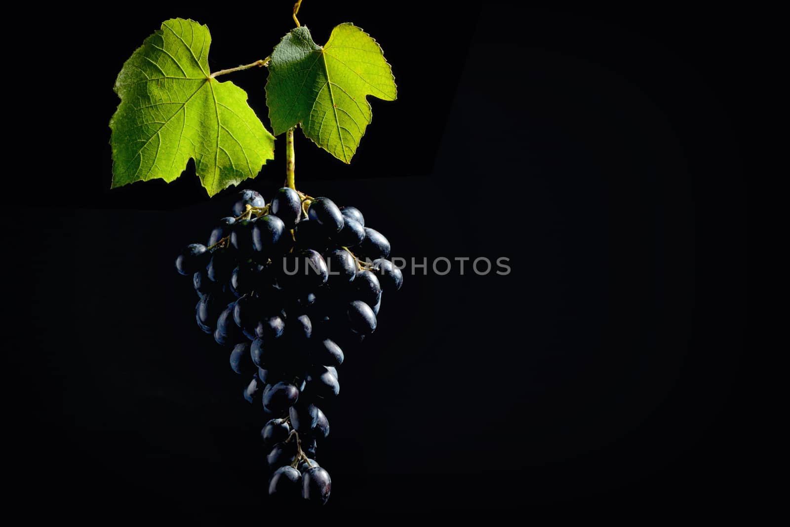 Bunch of grapes isolated by mady70