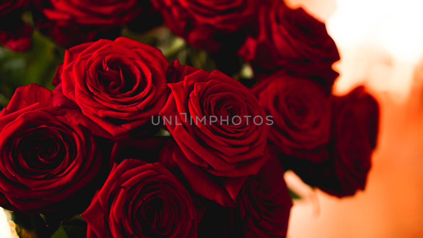 Red roses bouquet with free space for text by natali_brill