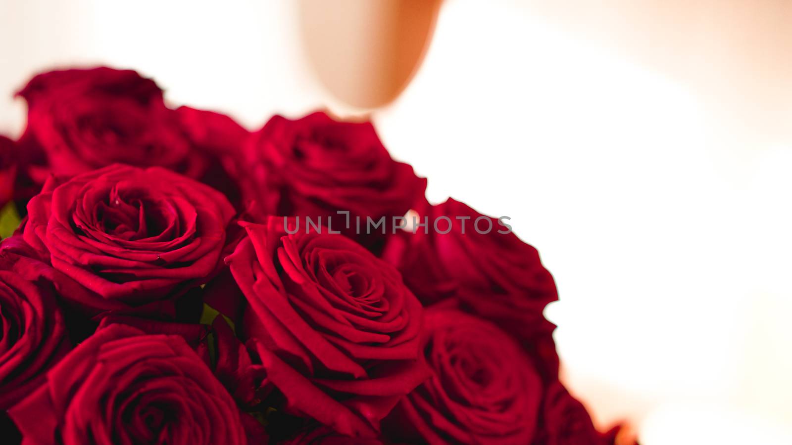 Red roses bouquet with free space for text. Selective focus