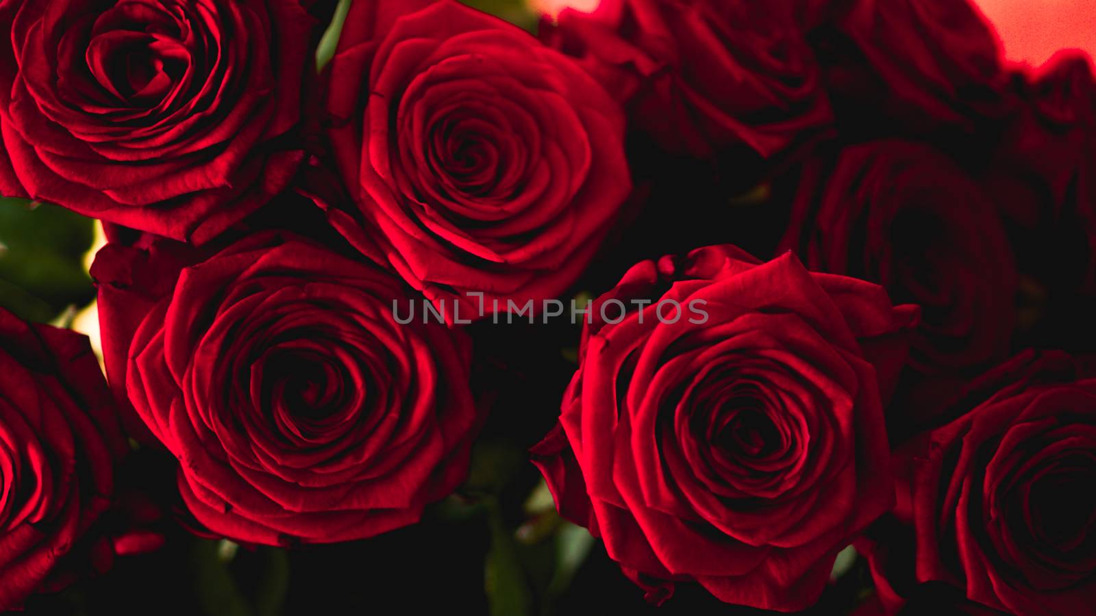 Red roses bouquet with free space for text by natali_brill
