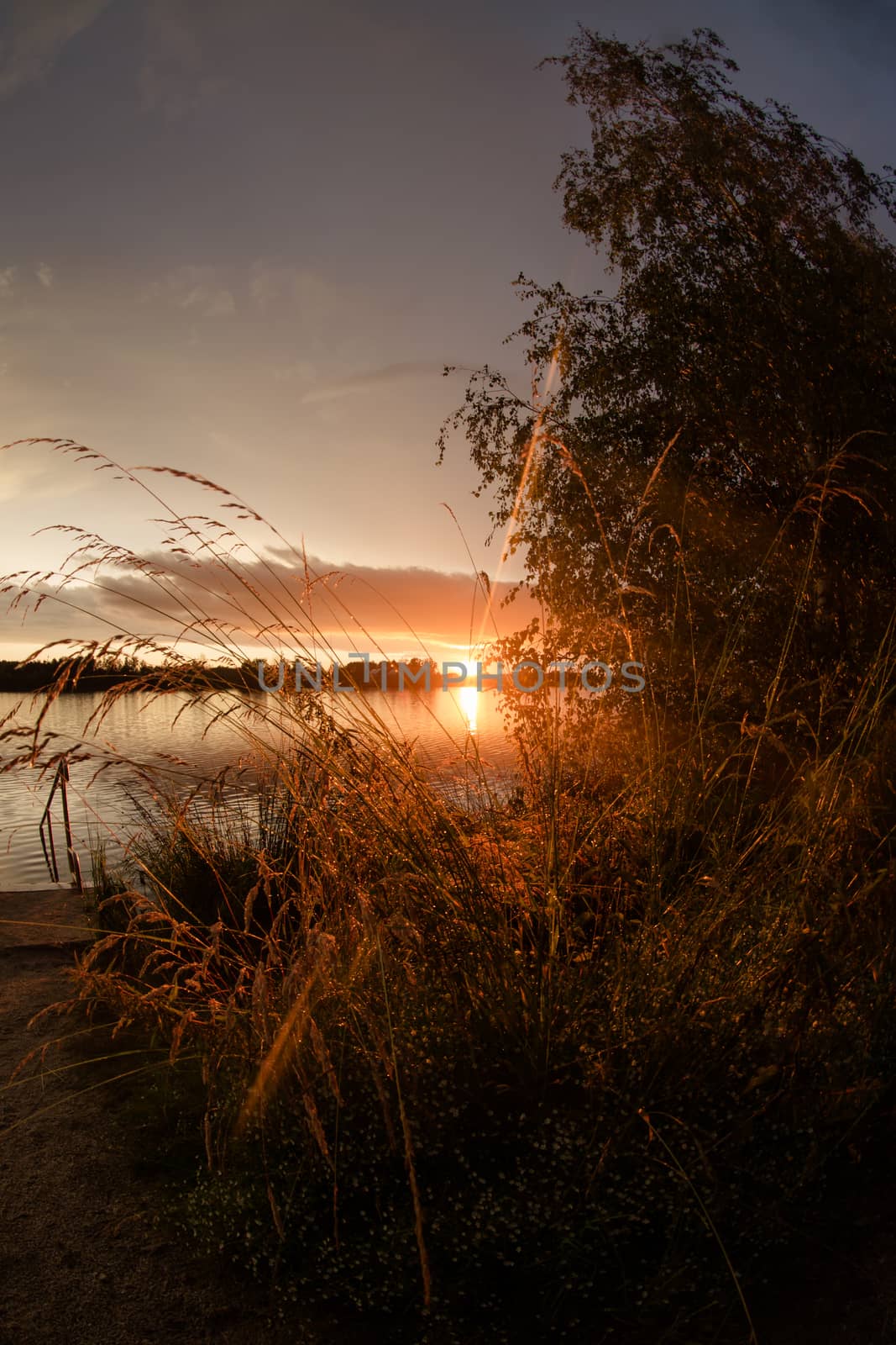 Landscape at the Murner lake, Wackersdorf, Bavaria