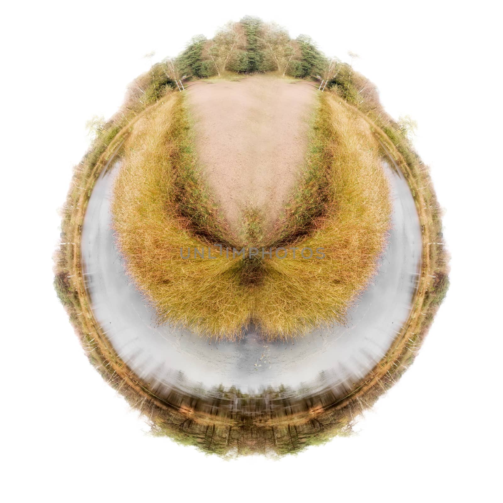 Little Planet Panorma of a beautiful moor landscape