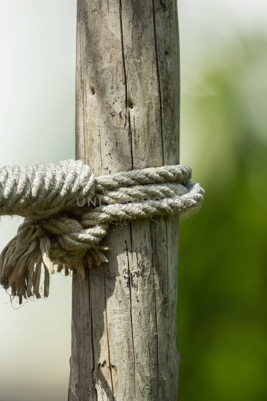 A rope and a knot on a piece of wood by sandra_fotodesign