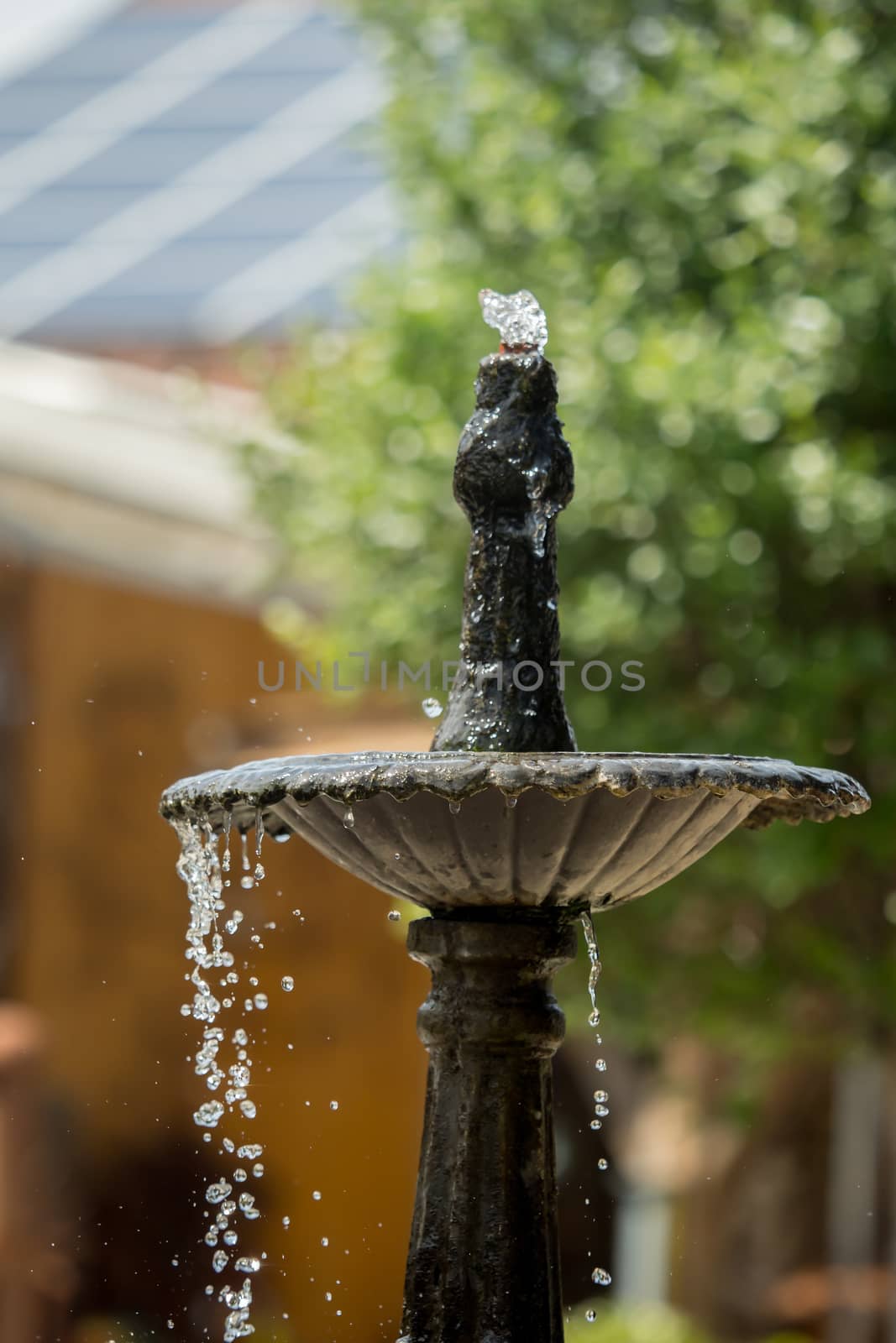 A fountain of water on a small fountain by sandra_fotodesign