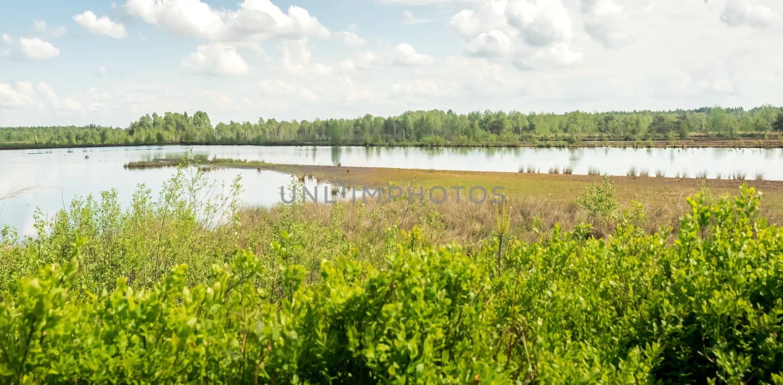 Impressions from the Moorpark in Bad Feilnbach, Bavaria by sandra_fotodesign