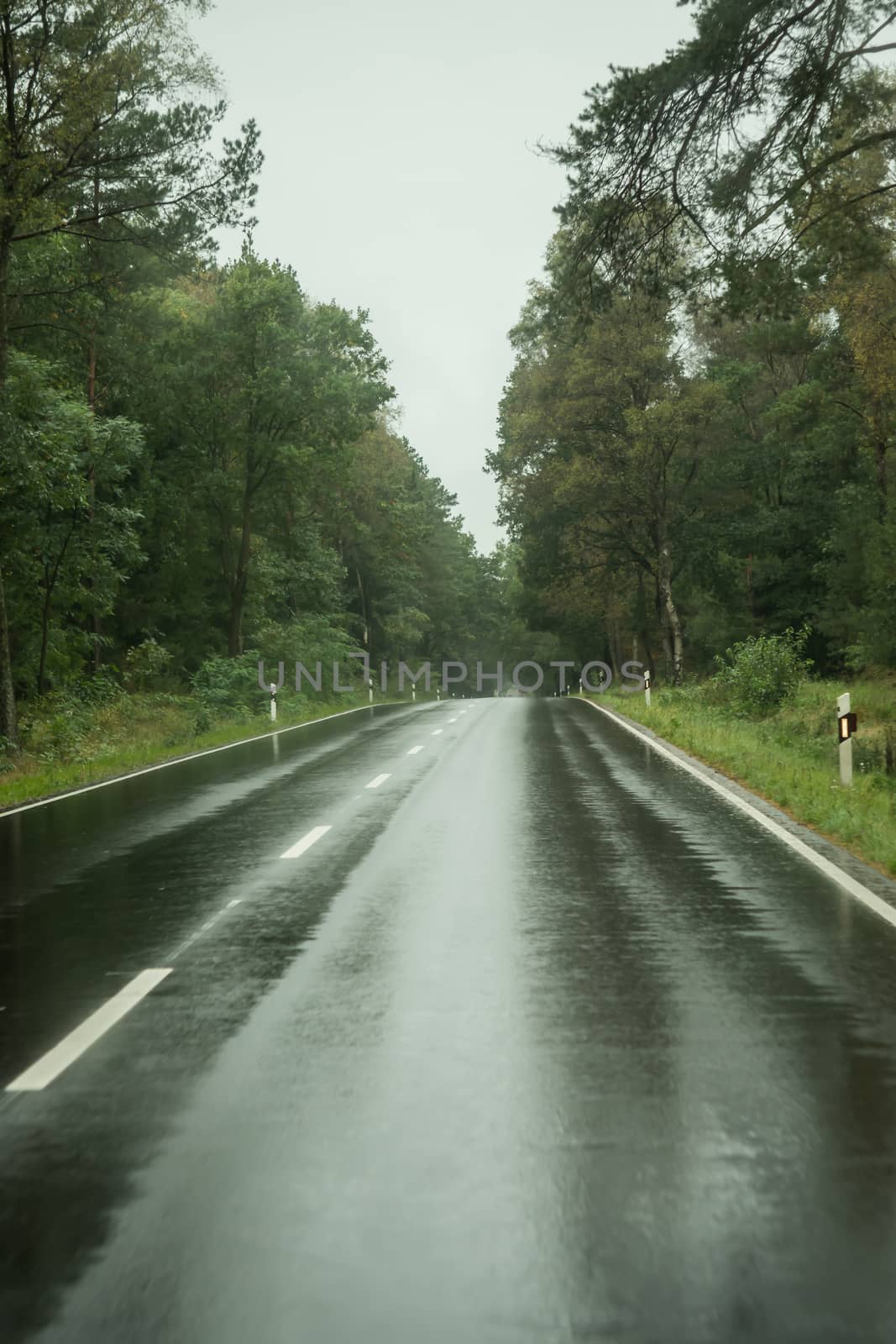 An empty wet road in autumn by sandra_fotodesign