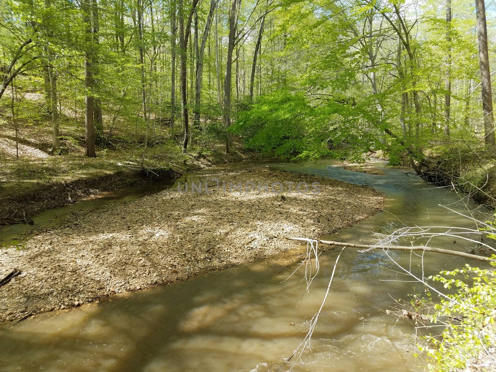 river or stream with rocks and trees in forest by stockphotofan1