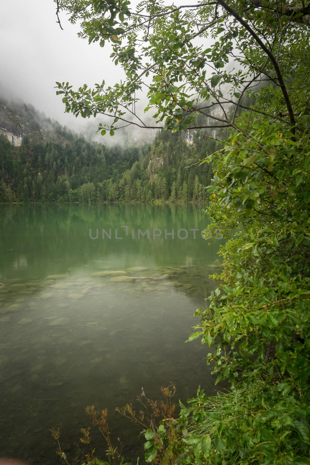 Nature shot at the Gleinkersee in Austria by sandra_fotodesign