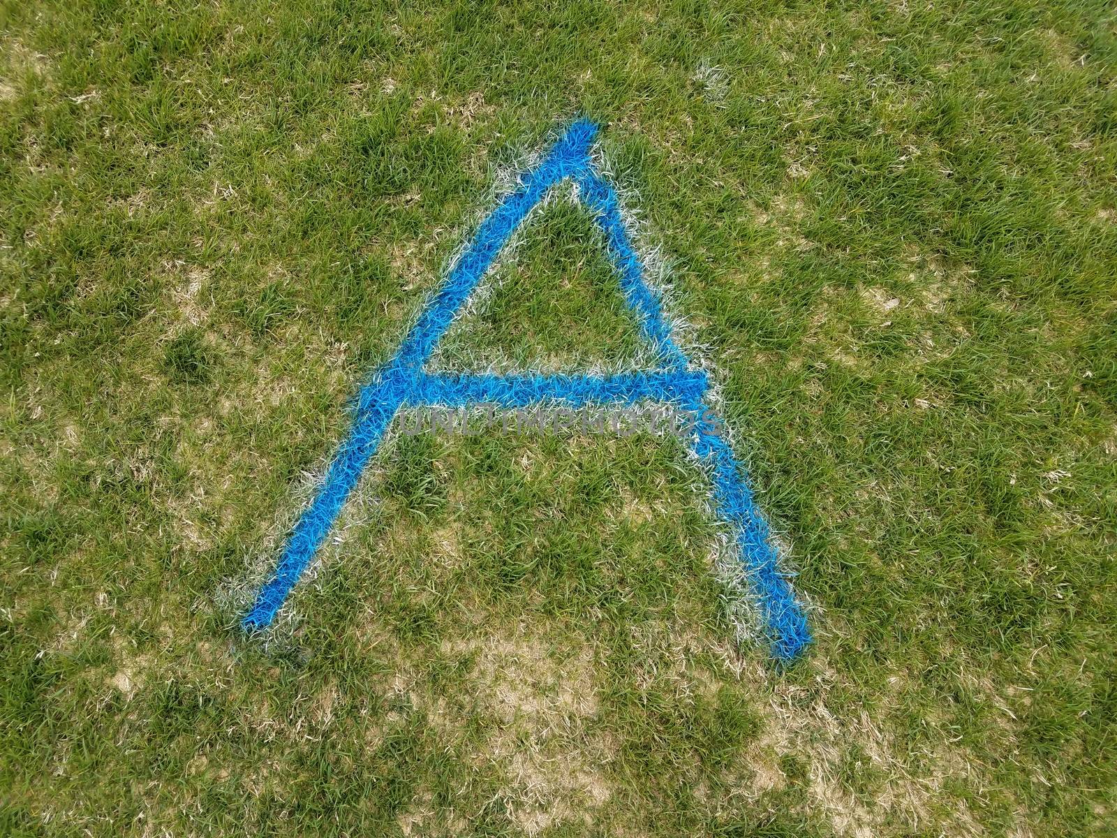 blue letter A spray painted on green grass by stockphotofan1