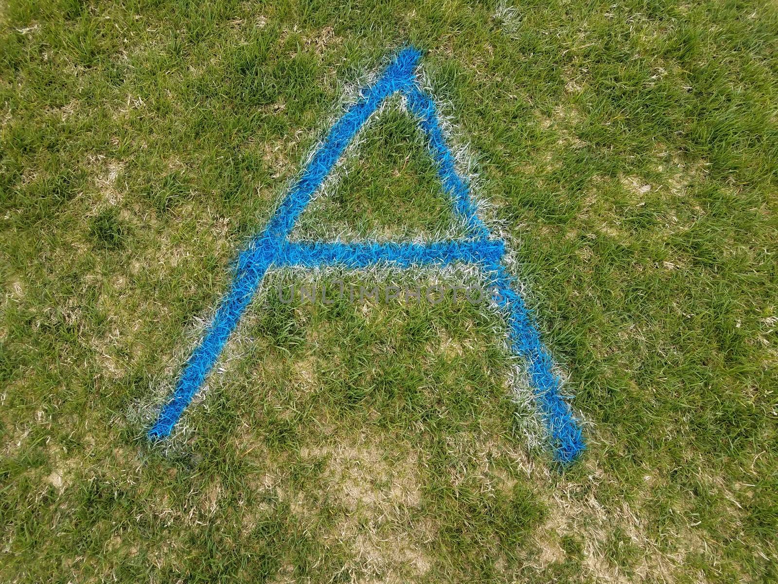 blue letter A spray painted on green grass or lawn