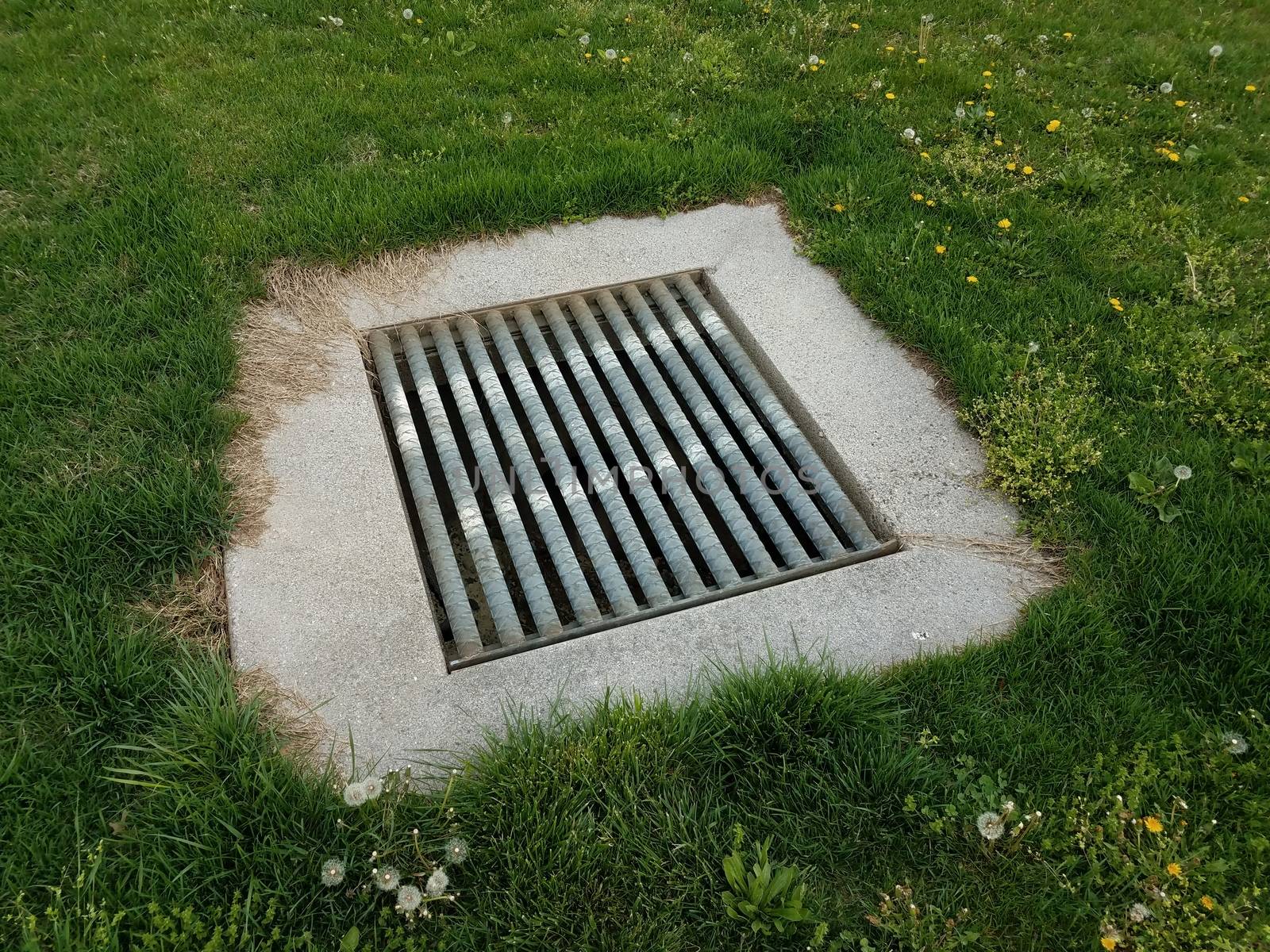 drain with metal grate bars and green grass by stockphotofan1