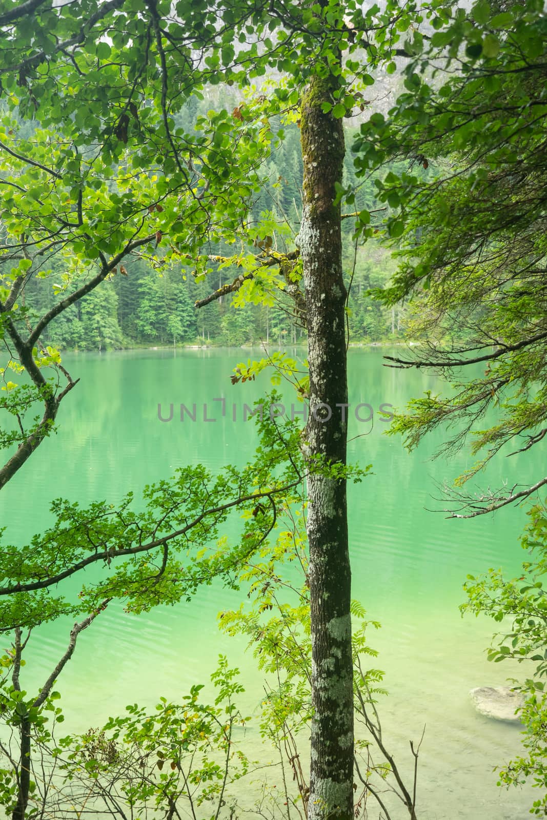 Beautiful lake in Austria, Gleinkersee in Austria