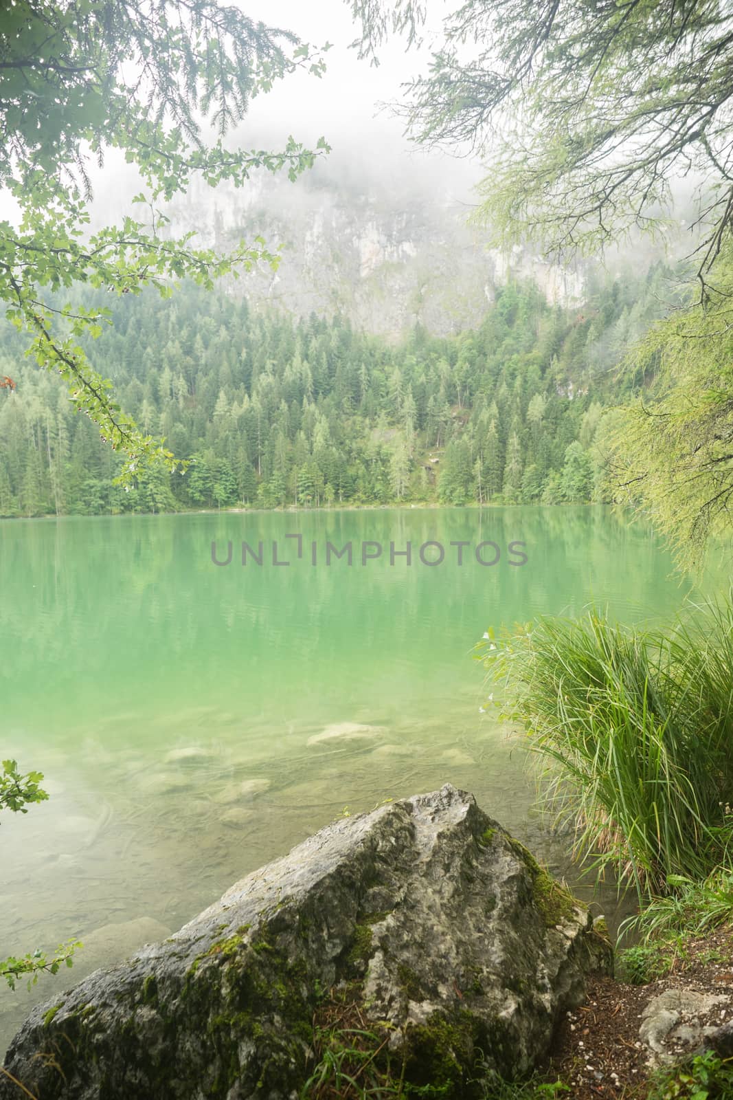 Nature shot at the Gleinkersee in Austria