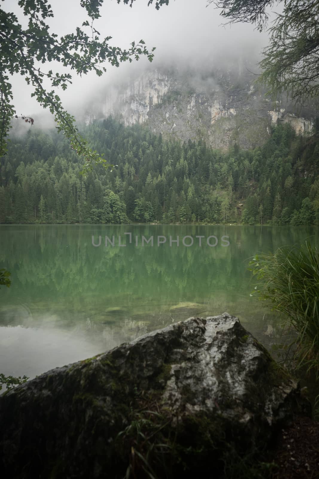 Nature lake shot at the Gleinkersee in Austria