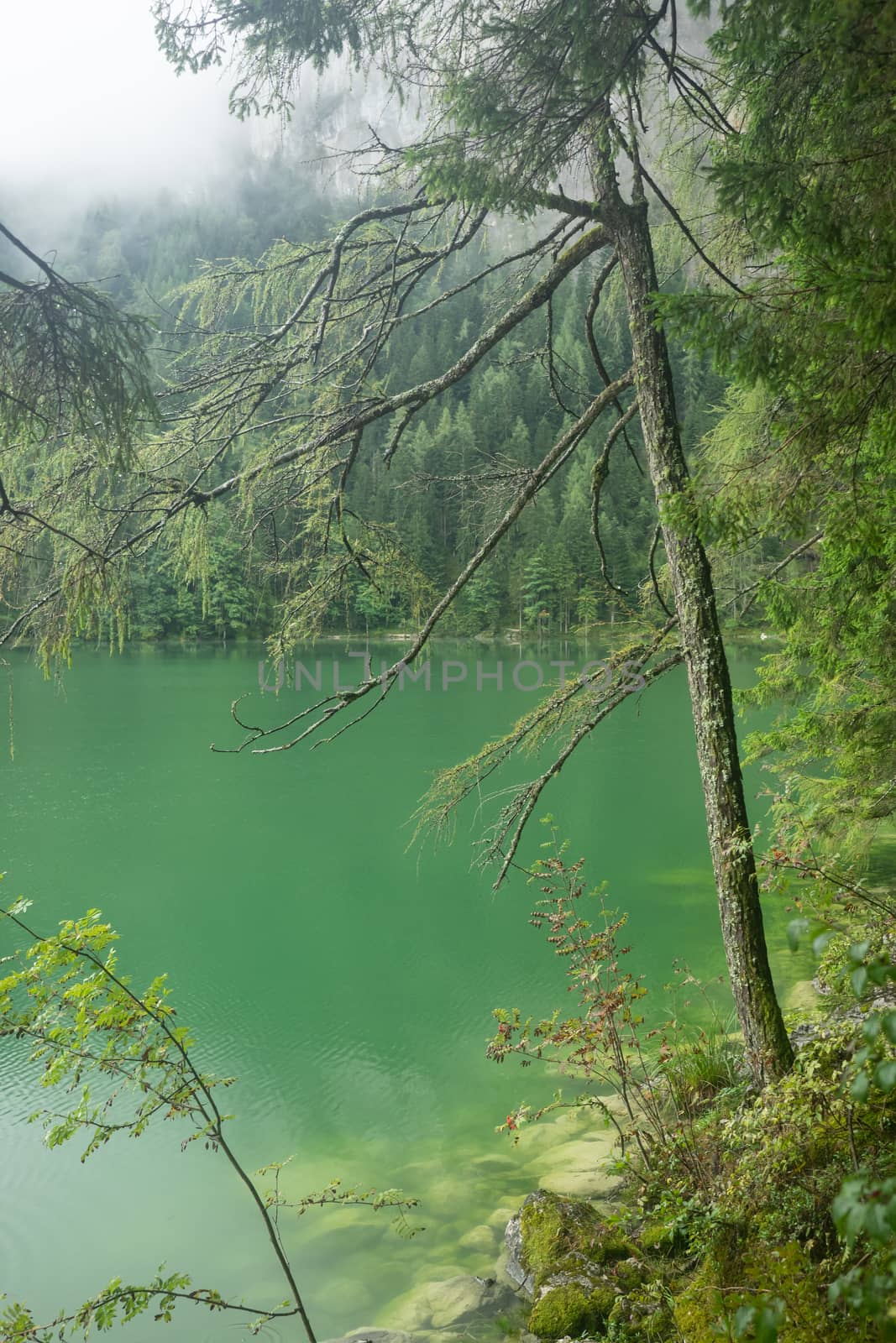 Beautiful lake in Austria, Gleinkersee in Austria by sandra_fotodesign