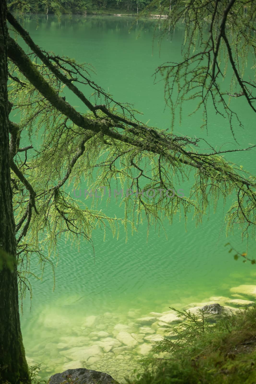 Beautiful lake in Austria, Gleinkersee in Austria by sandra_fotodesign